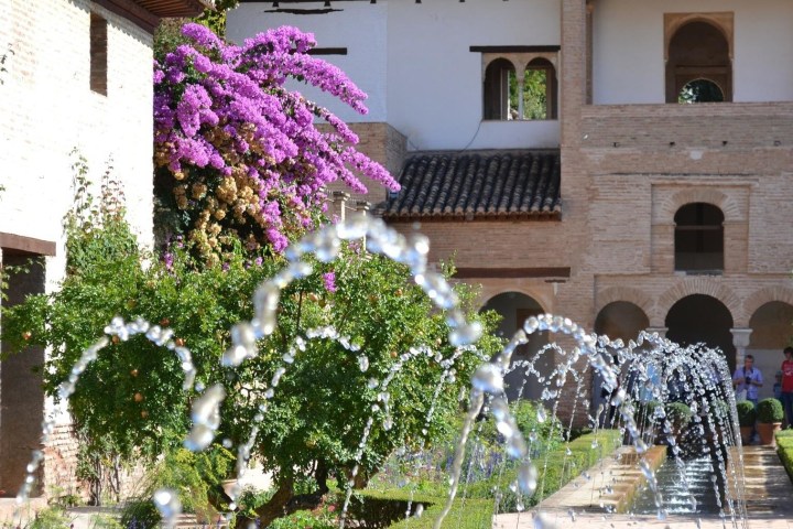 a close up of a flower garden in front of a building